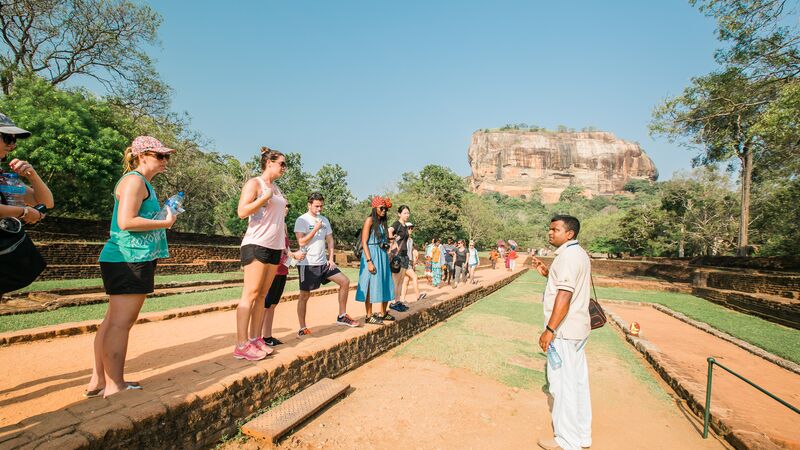 French-Speaking Tour Guide in Sri Lanka: How to Find a Licensed Guide & Plan a Private Tour