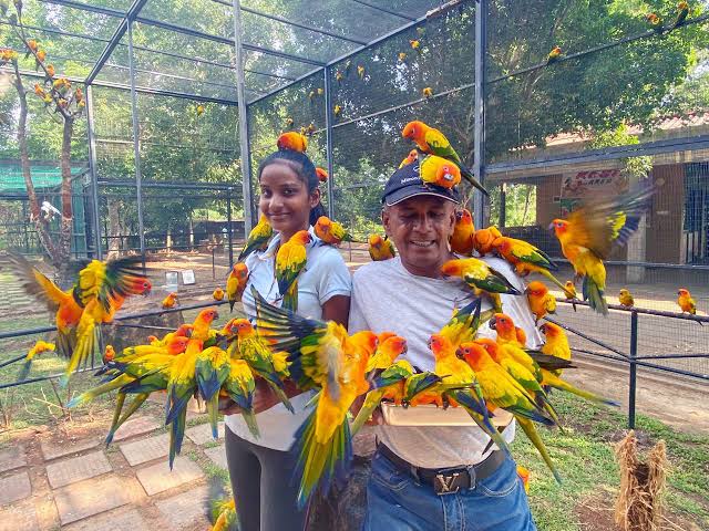 Birds santurary park  sri lanka