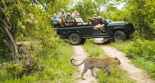 Sri Lanka Safari Cost: Park Tickets, Jeep Hire & What's Included