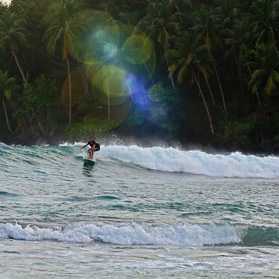 Sri Lanka Surf Holidays for European Travellers: Camps, Lessons & Transfers