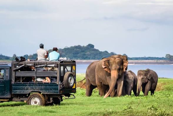 Sri Lanka 5-Day Tour Package: Itinerary, Places to Visit & Private Tour Options
