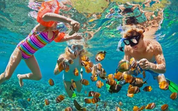 Pigeon Island Snorkeling Tour Price (2026–2027): Tickets, Boat & Private Tours