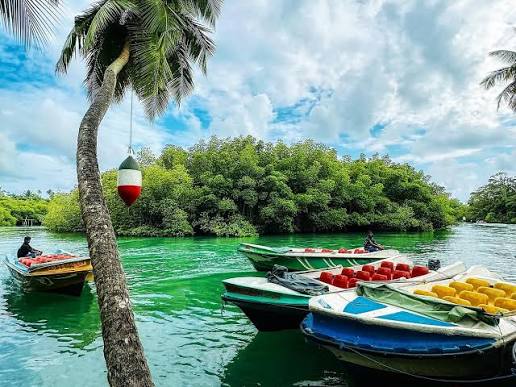 Madu River Boat Safari Price in USD (2026–2027): Mangroves & Private Tours