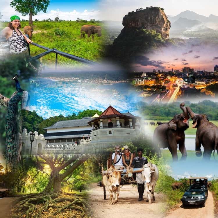 Sri Lanka Rondreis vanuit Nederland 2026–2027: 14-daagse Route, Kosten & Visum